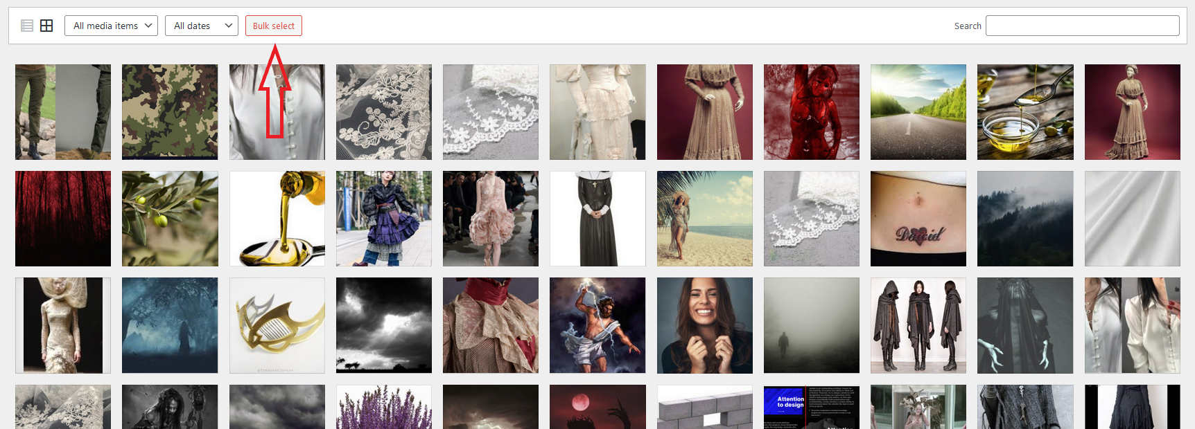 WordPress Media Library bulk select button for watermarking