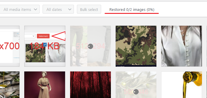 Image restoration processing progress bar for bulk operations